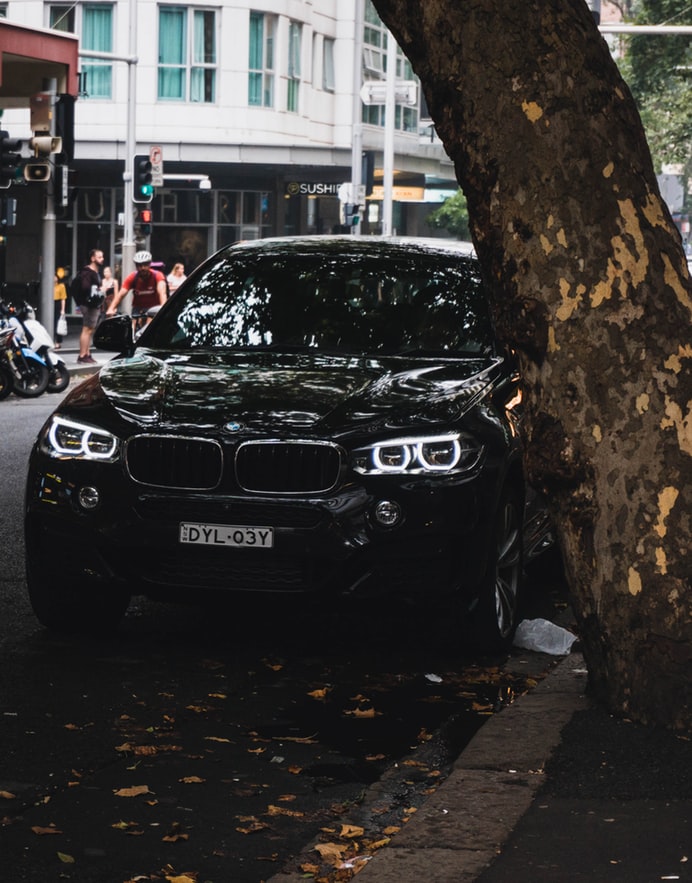glossy black BMW next to tree